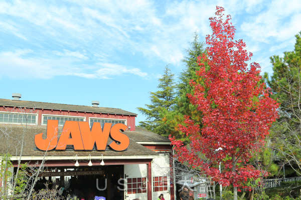 USJで感じる秋　紅葉