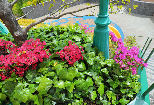 クッキーモンスタースライドという滑り台横のサツキとツツジ