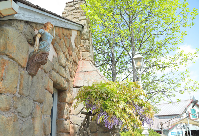 アミティランディングレストランの藤