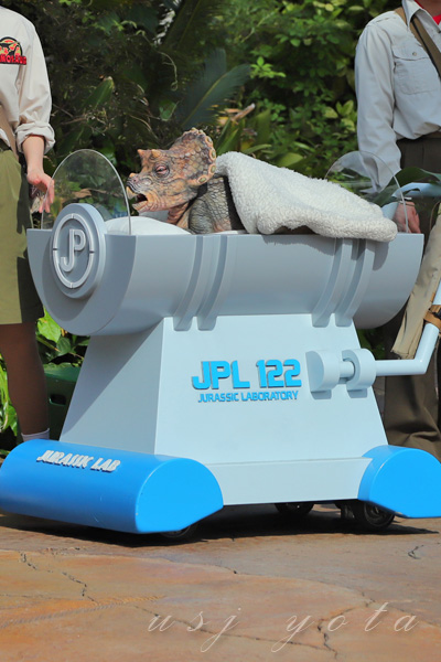 トリケラトプスの赤ちゃん