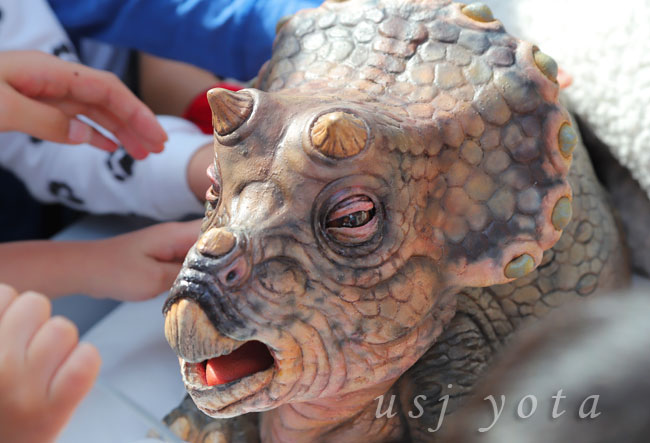 トリケラトプスの赤ちゃん