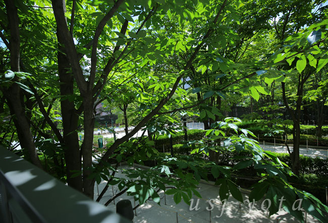 ミニオン・ハチャメチャ・アイス