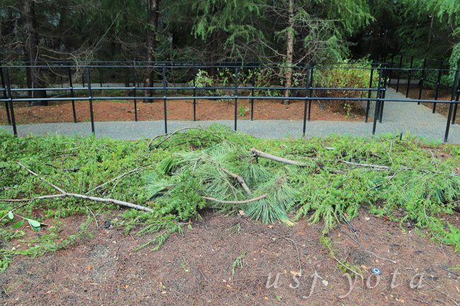 ハリーポッターエリア整理券発行時の入り口