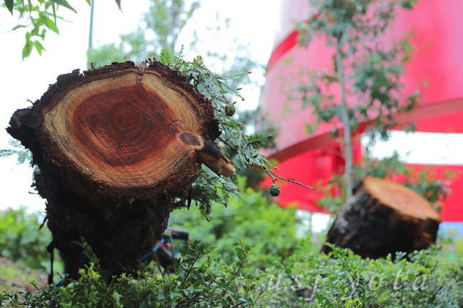 ユニバーサルワンダーランド