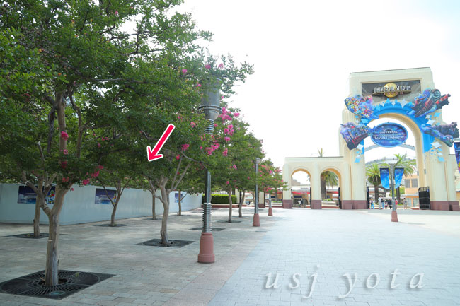 駐車場側大門前の工事