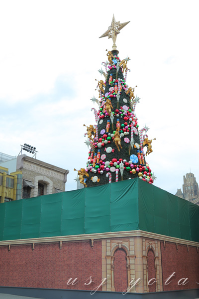 クリスマスツリーが姿を表した