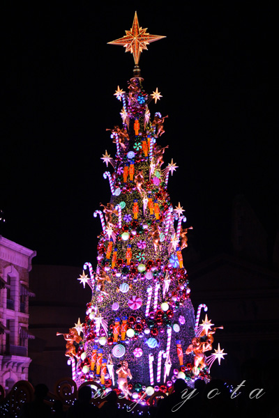 ユニバーサル・イリュージョン・ツリー