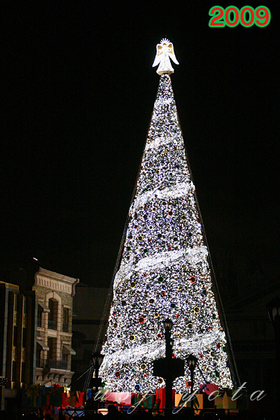 天使のくれた奇跡クリスマスツリー2009