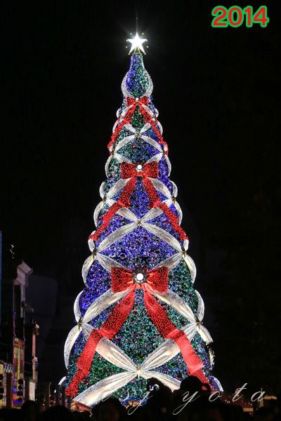 天使のくれた奇跡クリスマスツリー2014