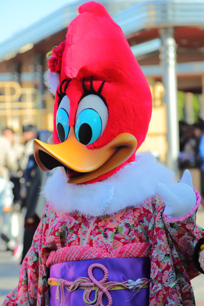 ウッディとウィニーの着物姿