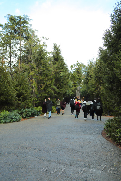 ハリーポッター