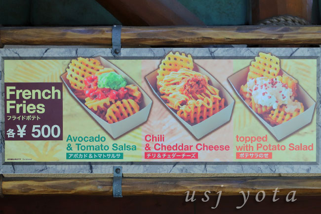 フォッシル・フュエルズのフライドポテト