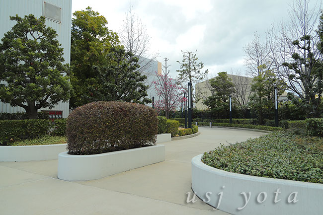 ニューヨーク図書館セット前の桜
