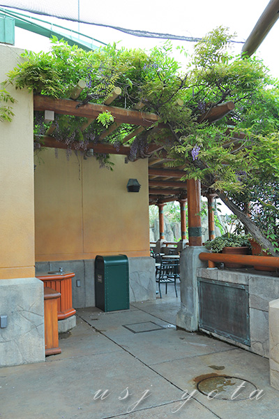 フォッシルフュエルズの藤