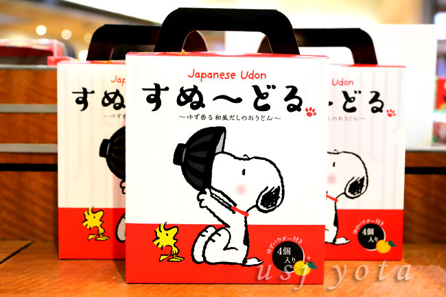 すぬーどる(うどん)