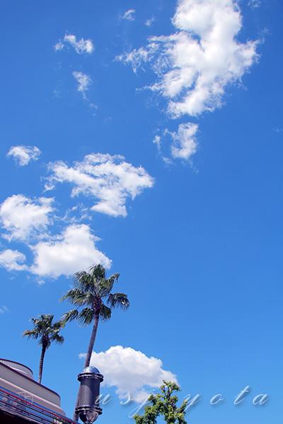 夏の青空