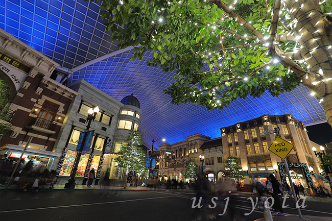 キャノピーの夜景