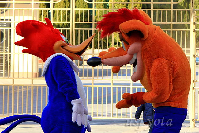 ウッドペッカーとクラッシュバンディクー