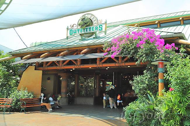 ブーゲンビリア