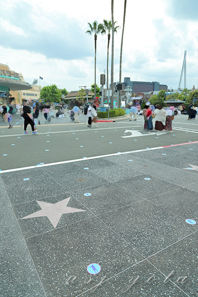 モンスターデダンス観覧ポジション