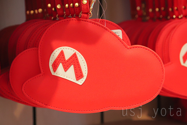 マリオのパスケース