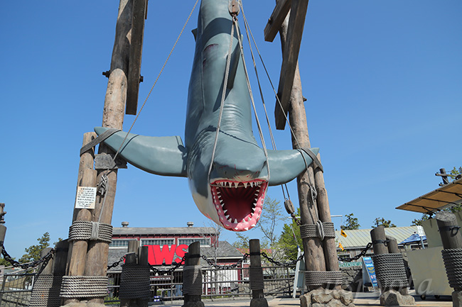 ジョーズフォトスポット