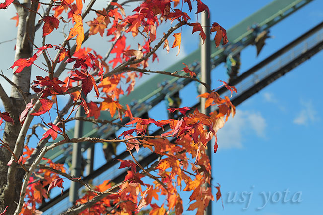 USJの紅葉写真