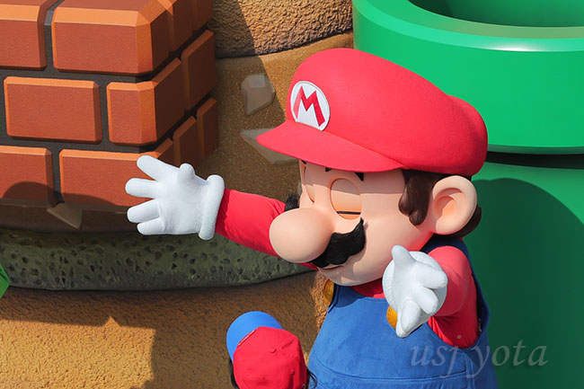 目を閉じるマリオ