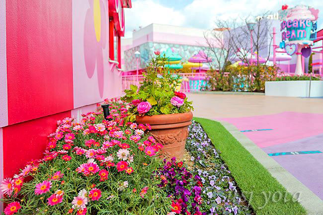 ワンダーランドの花