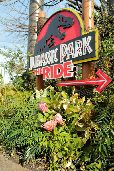 ジュラシックパークの赤い花