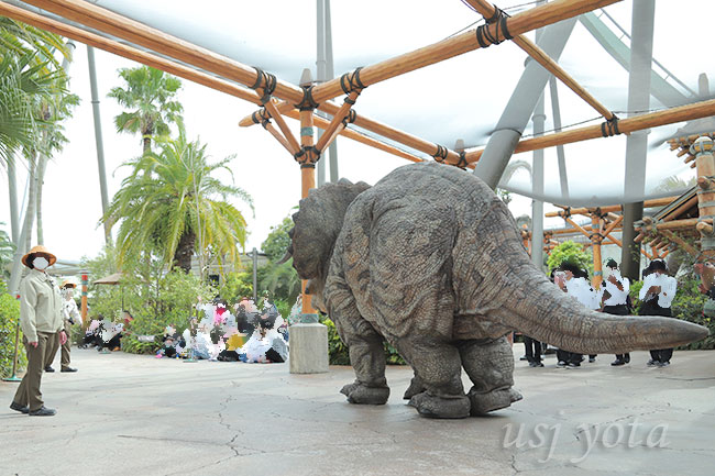 マイ・フレンド・ダイナソー