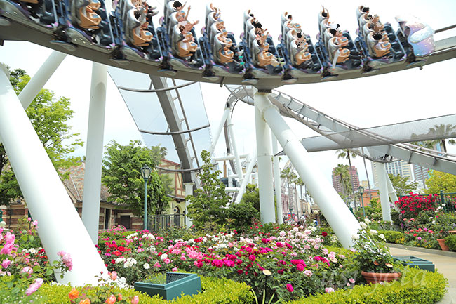 Roses Of Fame セントラルパーク