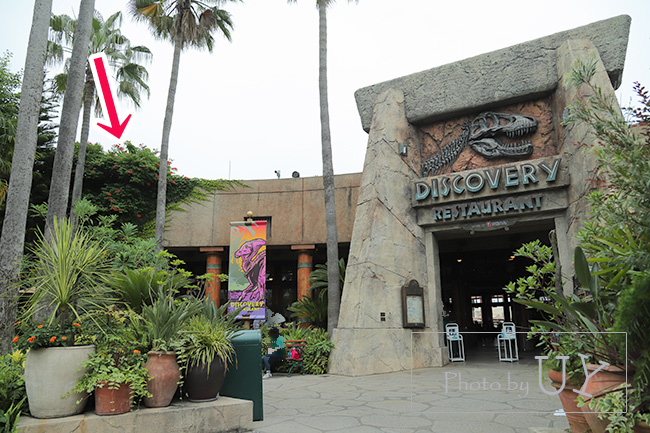 ディスカバリーレストラン」入り口横にも花が残っていました