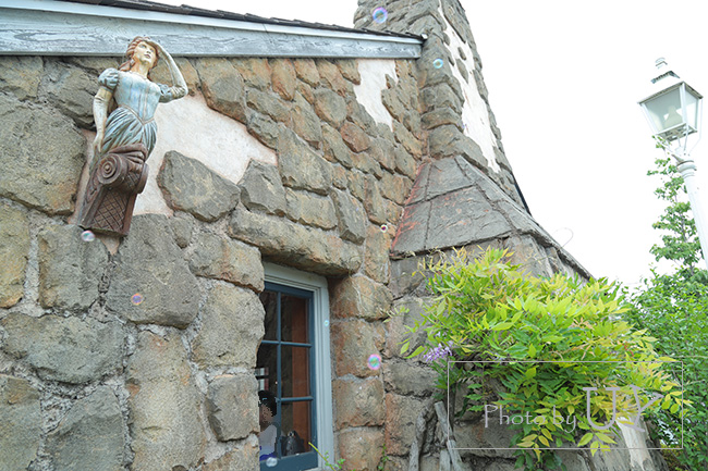 アミティランディングレストランの藤の花