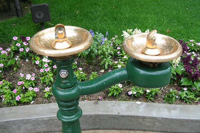 セントラルパークにある水飲み場