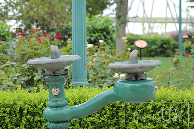 セントラルパークにある水飲み場