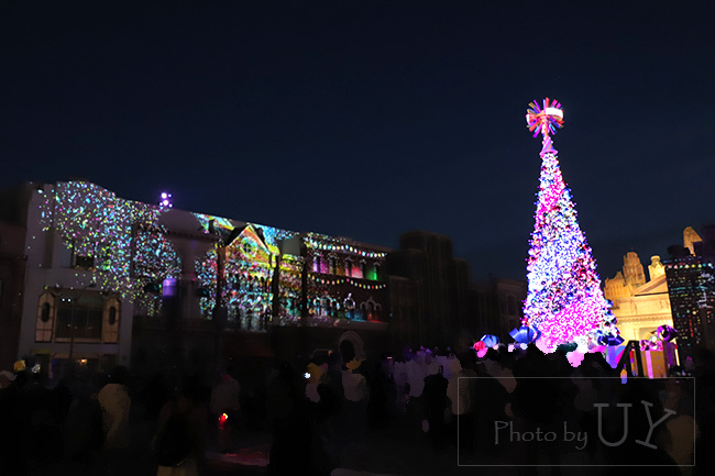 クリスマスツリー2021