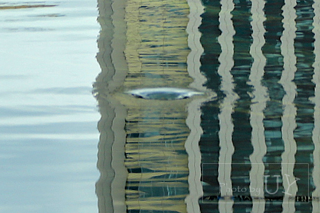 ラグーンの排水口