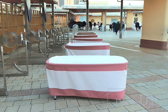 入場ゲートの前にある手荷物検査をする台