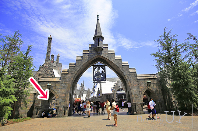 ホグズミード・マジカル・クリーチャーズ・ミートのピグミーパフ