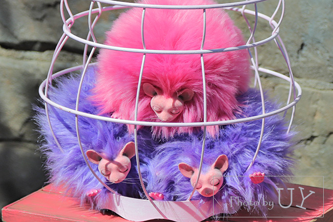 ホグズミード・マジカル・クホグズミード・マジカル・クリーチャーズ・ミートのピグミーパフリーチャーズ・ミートのピグミーパフ