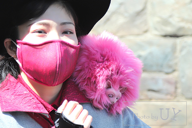 ホグズミード・マジカル・クリーチャーズ・ミートのピグミーパフ