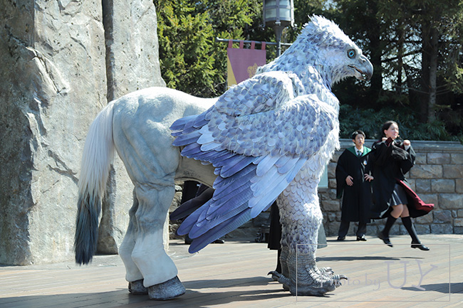 ヒッポグリフ・マジカル・レッスン