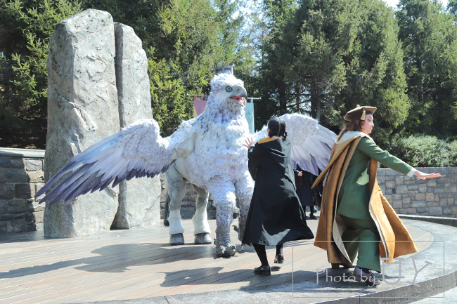 ヒッポグリフ・マジカル・レッスン