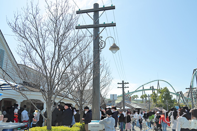 USJで咲くコブシ。アミティビレッジ