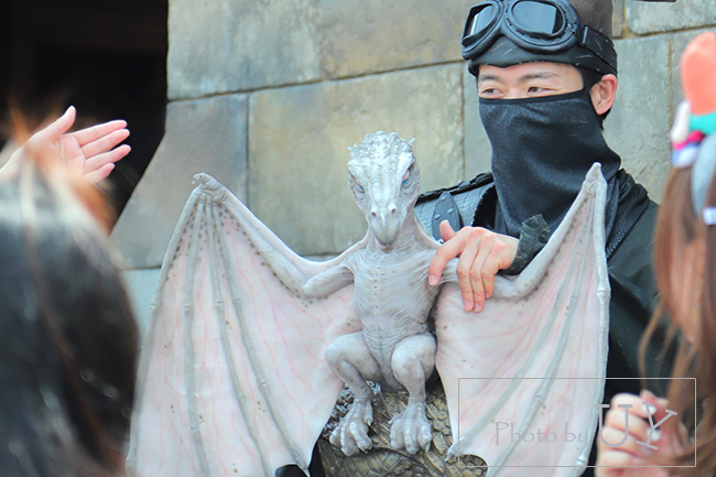 ベビードラゴン ハリーポッターエリア