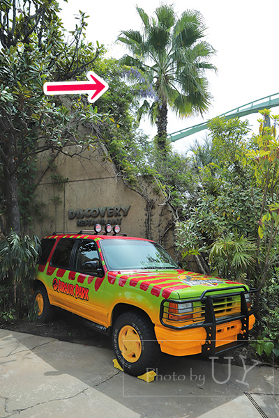 USJで咲いている藤の花