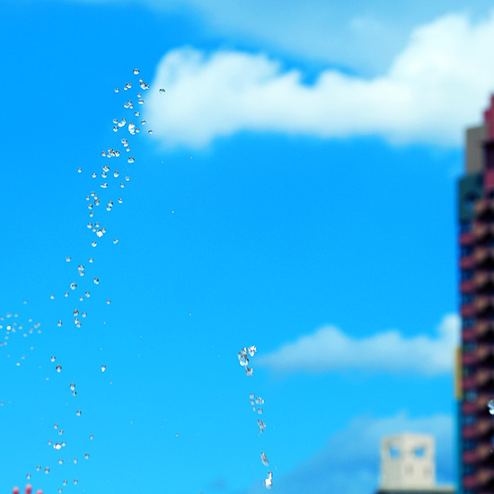 ウォーター・ガーデン