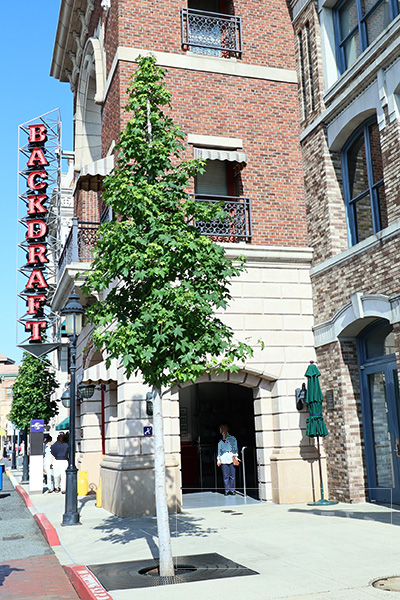 バックドラフト