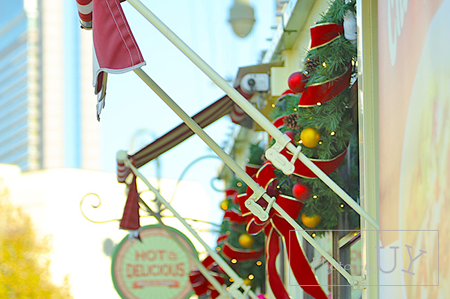 クリスマスの飾り付け